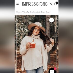 Impressions Cream Cowl Neck Sweater, 1x